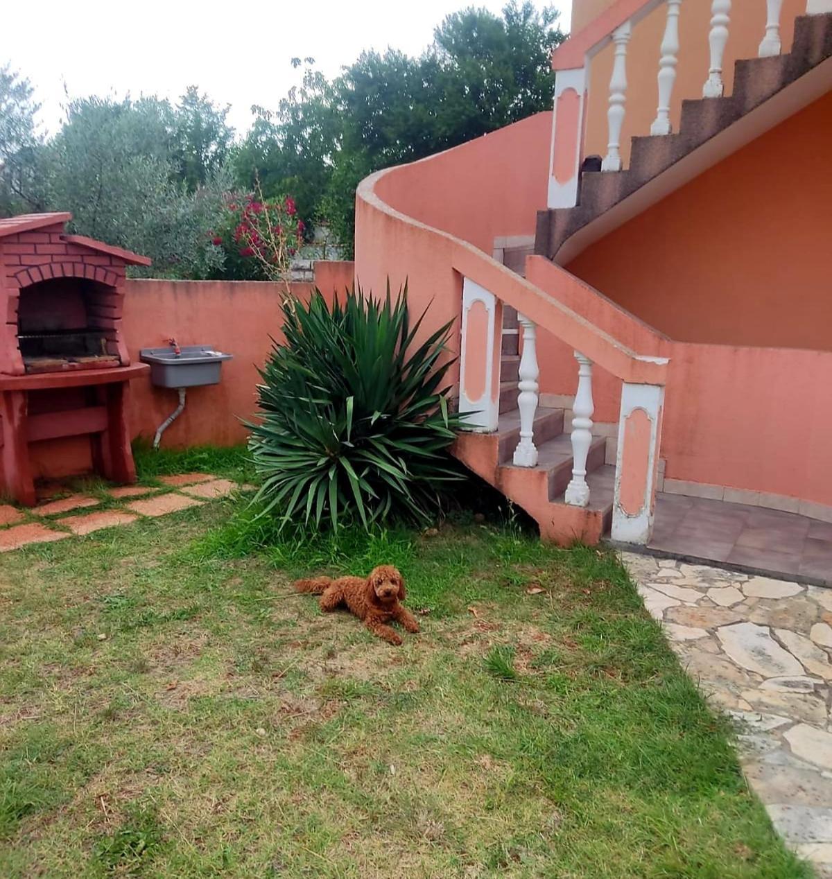 Waimarie Appartement Fažana Buitenkant foto